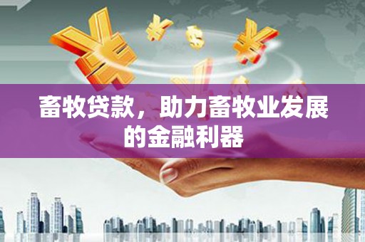 勉县畜牧贷款，助力畜牧业发展的金融利器
