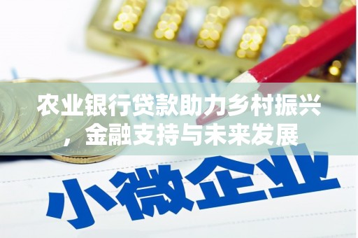 勉县农业银行贷款助力乡村振兴，金融支持与未来发展