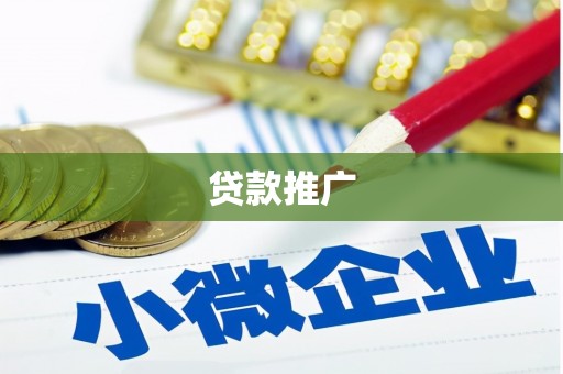 勉县贷款推广