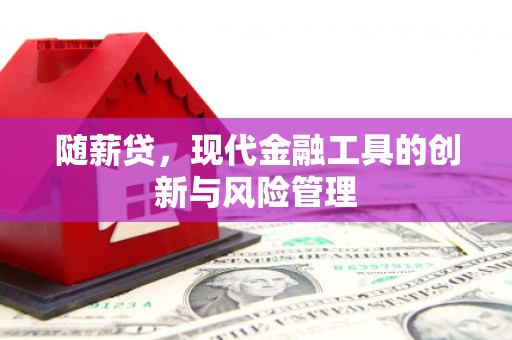 勉县随薪贷，现代金融工具的创新与风险管理