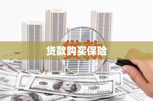 勉县贷款购买保险