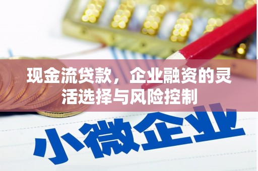 勉县现金流贷款，企业融资的灵活选择与风险控制