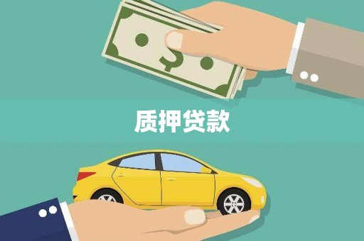 勉县质押贷款