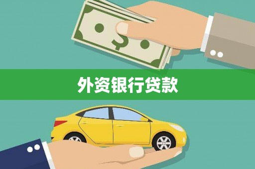 勉县外资银行贷款