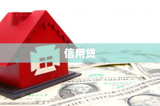 勉县信用贷