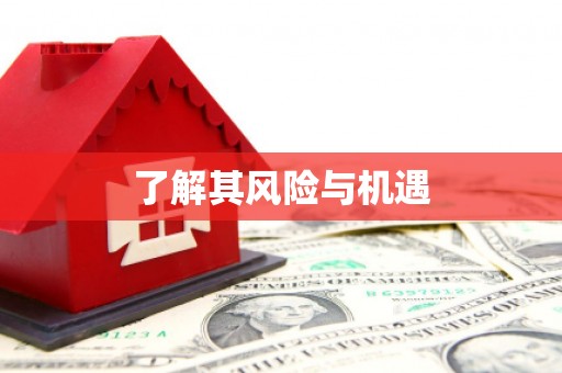 勉县了解其风险与机遇