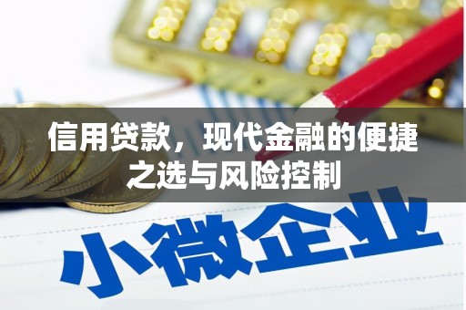勉县信用贷款，现代金融的便捷之选与风险控制