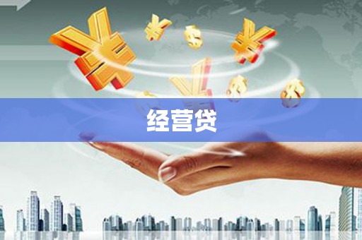 勉县经营贷