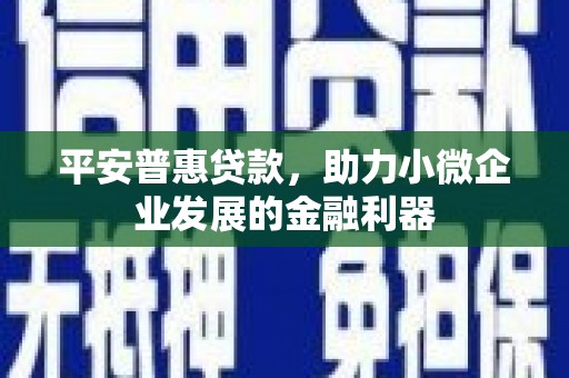 勉县平安普惠贷款，助力小微企业发展的金融利器