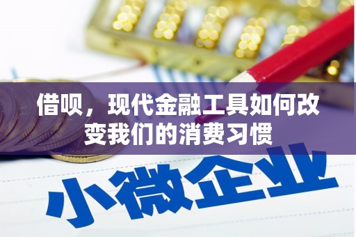 勉县借呗，现代金融工具如何改变我们的消费习惯