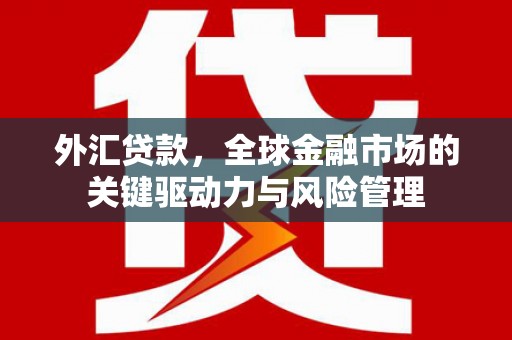 勉县外汇贷款，全球金融市场的关键驱动力与风险管理
