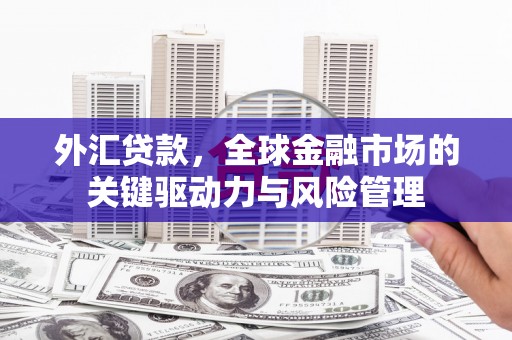 勉县外汇贷款，全球金融市场的关键驱动力与风险管理