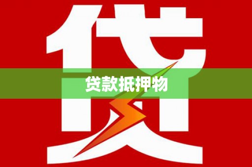 勉县贷款抵押物