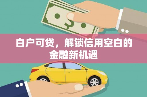 勉县白户可贷，解锁信用空白的金融新机遇