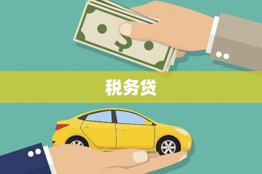勉县税务贷