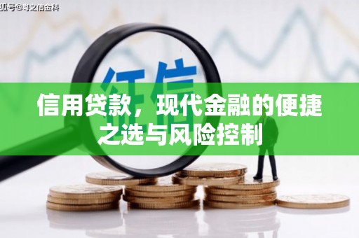 勉县信用贷款，现代金融的便捷之选与风险控制