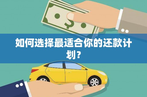勉县如何选择最适合你的还款计划？