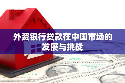 勉县外资银行贷款在中国市场的发展与挑战