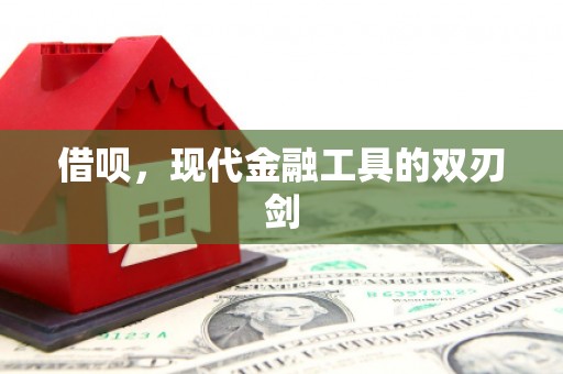 勉县借呗，现代金融工具的双刃剑
