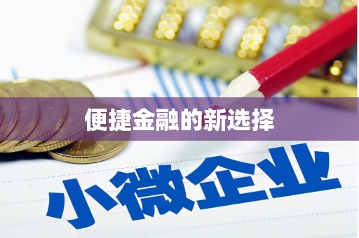 勉县便捷金融的新选择