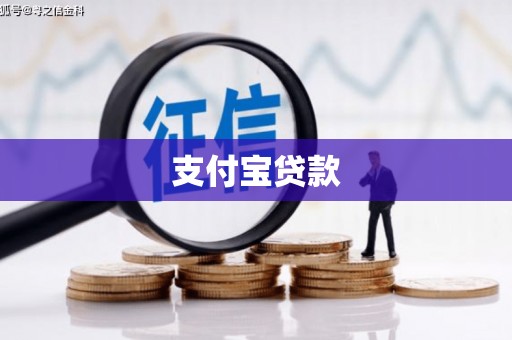 勉县支付宝贷款