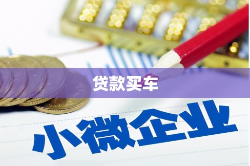勉县贷款买车
