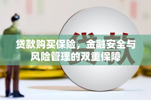 勉县贷款购买保险，金融安全与风险管理的双重保障