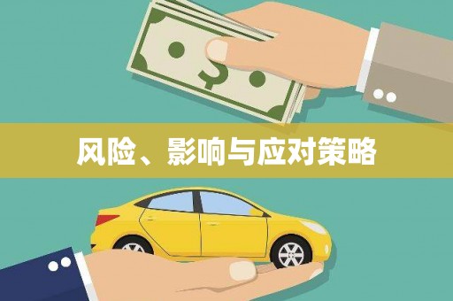 勉县风险、影响与应对策略