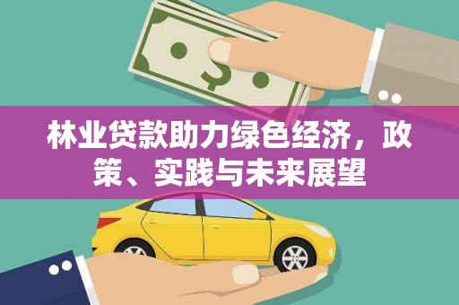 勉县林业贷款助力绿色经济，政策、实践与未来展望