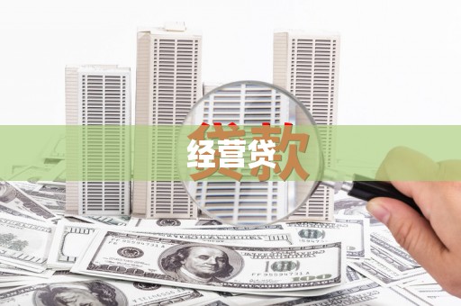 勉县经营贷