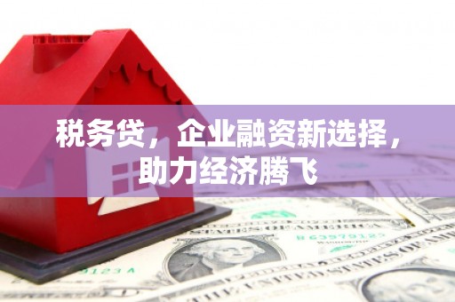 勉县税务贷，企业融资新选择，助力经济腾飞