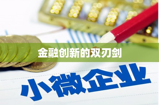 勉县金融创新的双刃剑