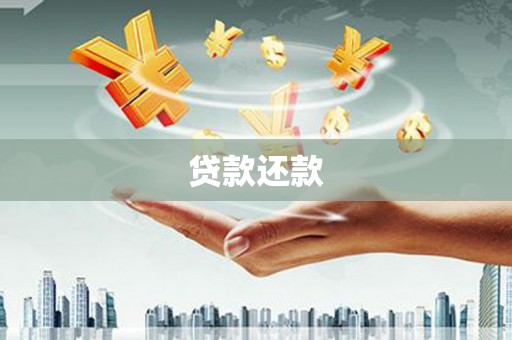 勉县贷款还款