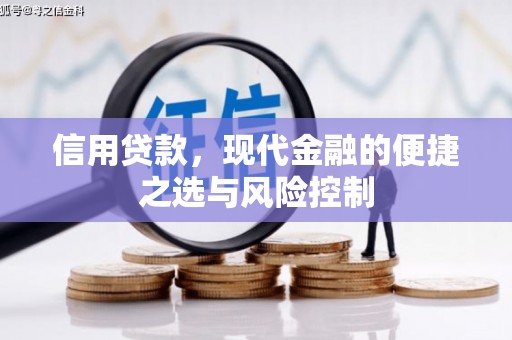 勉县信用贷款，现代金融的便捷之选与风险控制