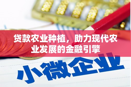 勉县贷款农业种植，助力现代农业发展的金融引擎