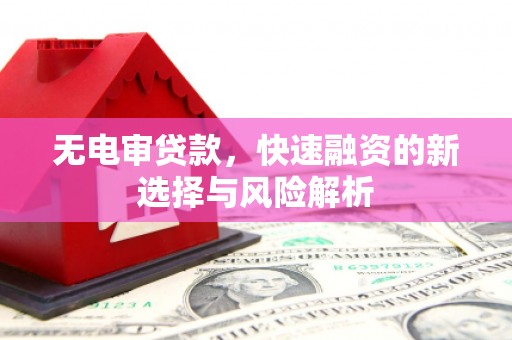 勉县无电审贷款，快速融资的新选择与风险解析