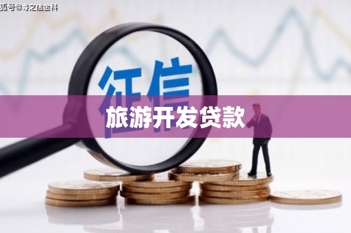 勉县旅游开发贷款