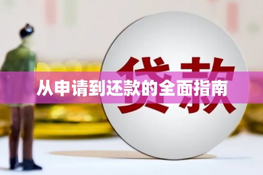 勉县从申请到还款的全面指南