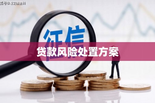 勉县贷款风险处置方案