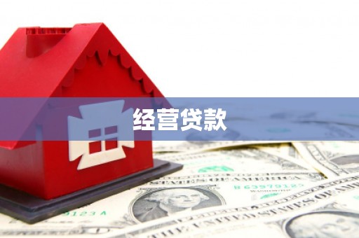 勉县经营贷款