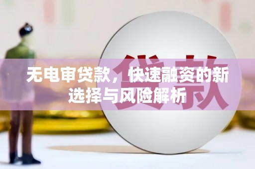 勉县无电审贷款，快速融资的新选择与风险解析
