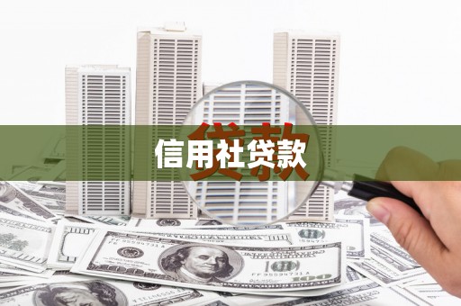 勉县信用社贷款