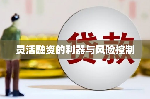 勉县灵活融资的利器与风险控制