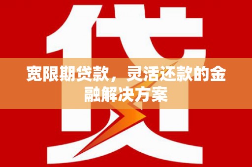 勉县宽限期贷款，灵活还款的金融解决方案