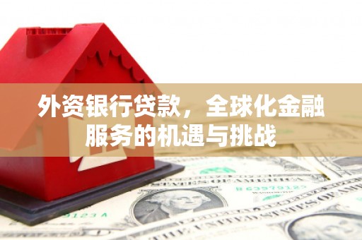 勉县外资银行贷款，全球化金融服务的机遇与挑战