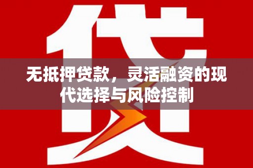 勉县无抵押贷款，灵活融资的现代选择与风险控制