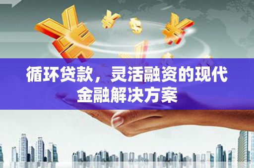 勉县循环贷款，灵活融资的现代金融解决方案