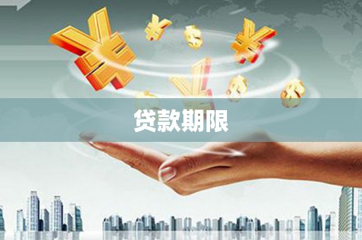 勉县贷款期限
