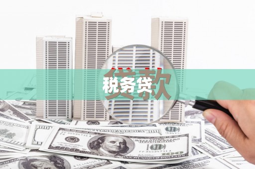 勉县税务贷