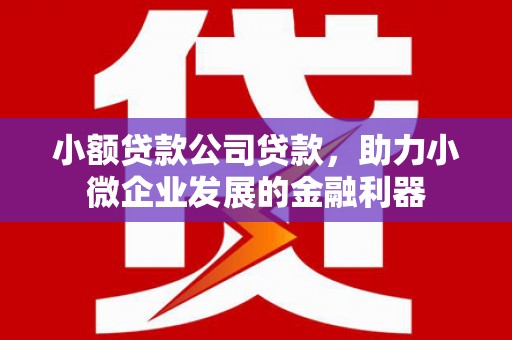 勉县小额贷款公司贷款，助力小微企业发展的金融利器